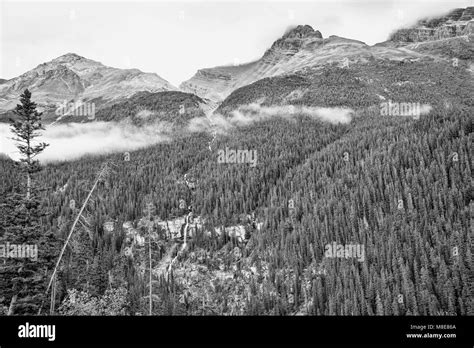 Canadian Rocky Mountainsalbertacanada Stock Photo Alamy