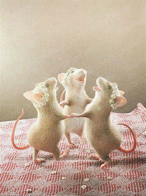 Pin Von Kirsten Mirbach Auf Pretty Pictures Süße Ratten Süßeste