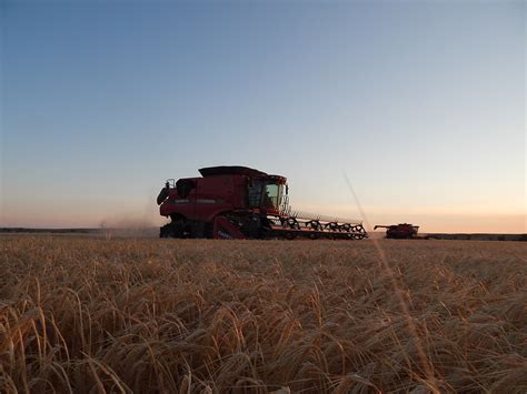 Thacker Harvesting Ltd, Professional Harvesting - Serving Alberta, Saskatchewan, Montana, Kansas ...