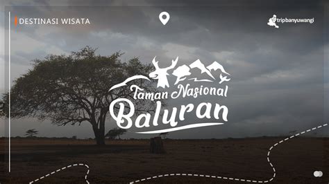 Taman Nasional Baluran Trip Banyuwangi Paket Wisata Banyuwangi Open