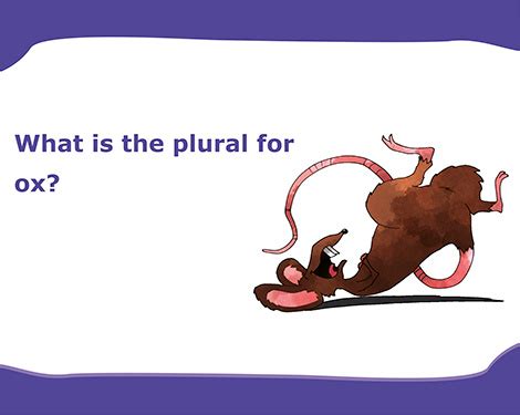Bright kids grade three language arts activities provides support by enabling children to develop an awareness of spelling patterns, spell unfamiliar bright kids grade 3 english power activities are a great language arts resource to help parents and teachers motivate their children to learn. Flashcards | Smartkids