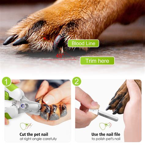 How Do I File My Puppys Nails