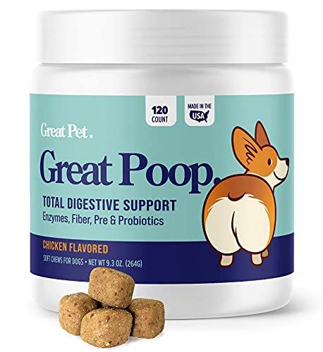 Best Probiotic For Dogs With Diarrhea Review And Buying Guides Of 2023