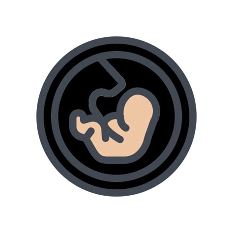 Fetus Generic Outline Color Icon