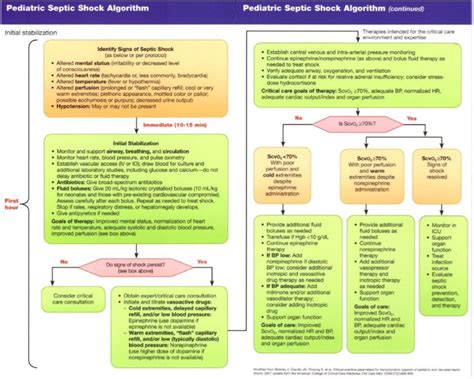 Pals Septic Shock Algorithm