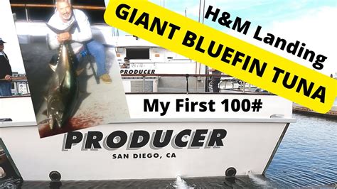 Part Giant Bluefin Tuna Fishing Day Producer Sportfishing H M