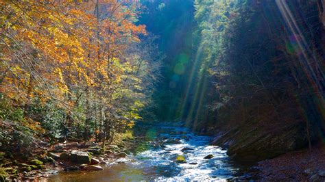 Fall Pictures View Images Of Great Smoky Mountains