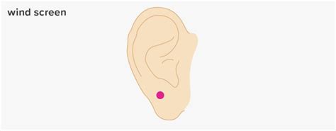 10 Pressure Points For Ears Treat Ear And Headaches Holistically