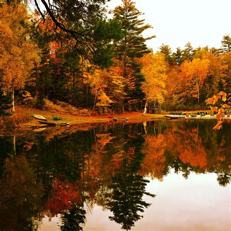 Best Locations For Leaf Peeping And Fall Foliage