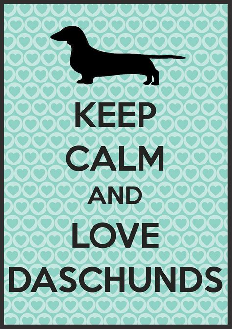 Keep Calm Funny Dachshund Dachshund Love Weiner Dog
