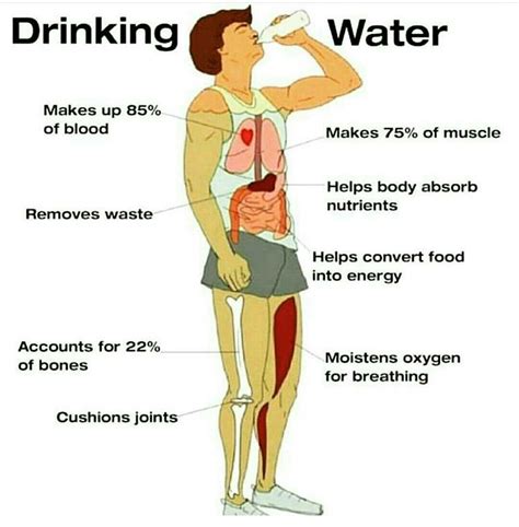 The Benefits Of Drinking Water Body Health Health And Nutrition