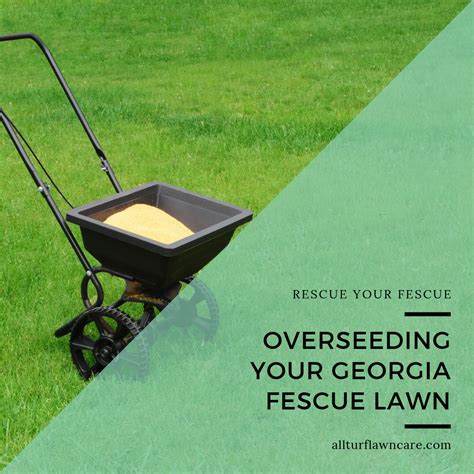 How To Overseed Your Georgia Fescue Lawn Winter Lawn Care Fall Lawn Care Winter Lawn