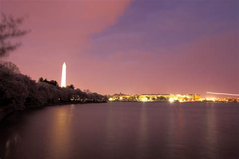 Cherry Trees Night Washington Monument Unusual Free Nature Pictures