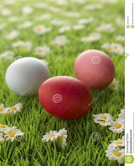 Easter Eggs With Little Daisy Flowers In Grass Stock Photo Image Of
