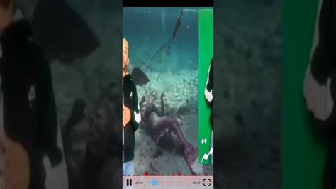 Real Mermaid Spotted On Camera 📸 Youtube
