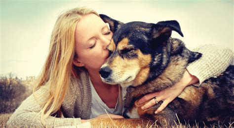 With euthanasia, which literally means good death, pet parents can give their pets the final, selfless gift of a peaceful passing when the time is right. Pet Euthanasia Services Near Me 98362 - Blue Mountain ...