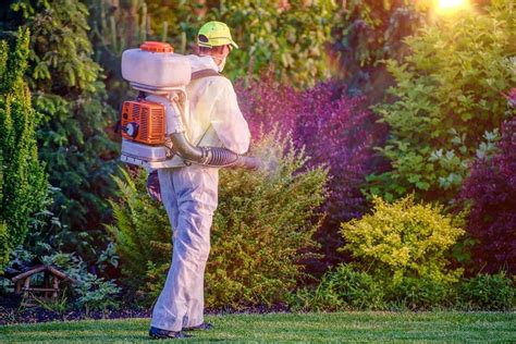 Top 6 Reasons Why You Should Have Lawn Pest Control Earth Development