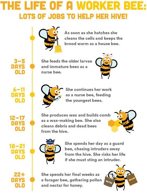 Whole Kids Foundation Inside The Hive