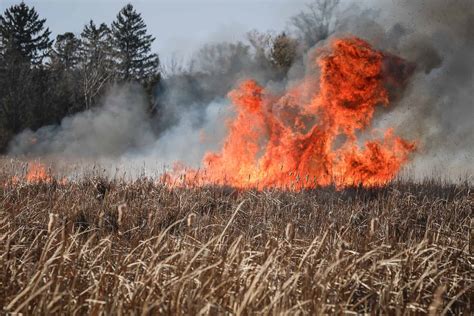 45 Acres Of Brush Burn During Accidental Fire Near Woodstock