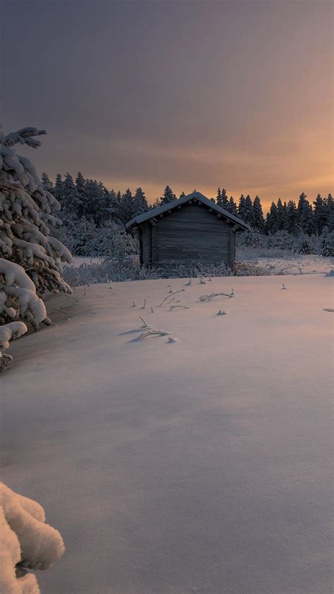 Winter Morning Wallpapers Wallpaper Cave