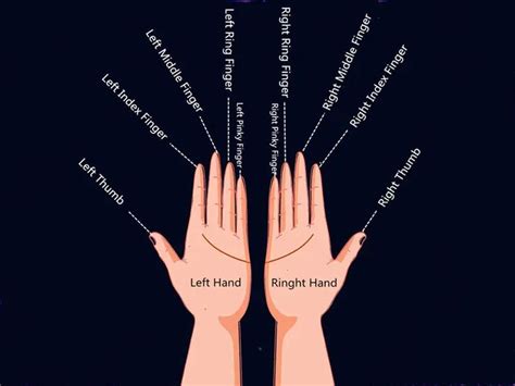 This page explains what the acronym rng means. 10 Little-known Meaning of Each Finger for Rings - A ...