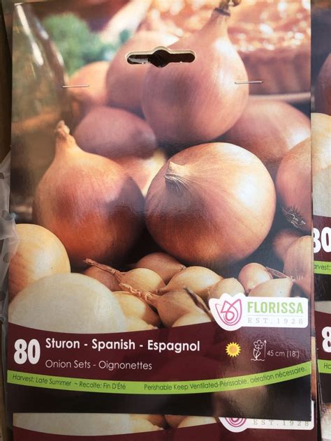 Sturon Spanish Onion Set › Anything Grows