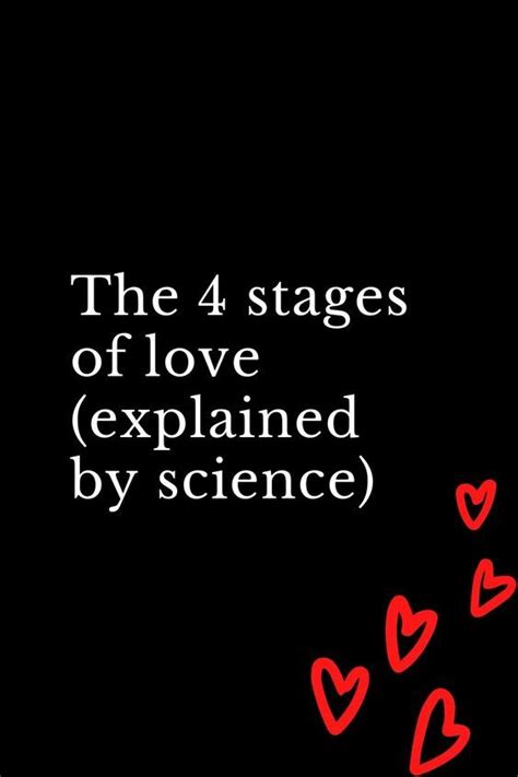 The 4 Stages Of Love Explained By Science Stages Of Love
