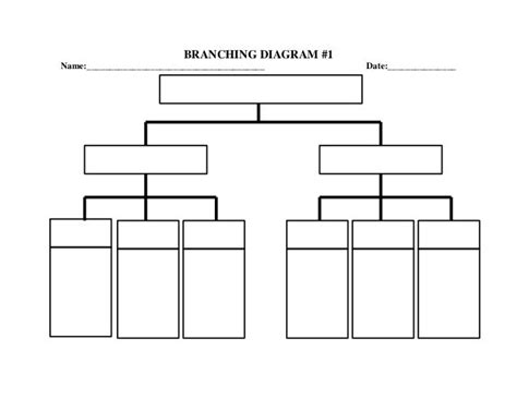 Branching Diagram