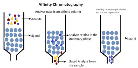Affinity Chromatography Apparatus