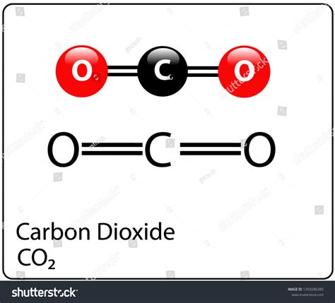 Carbon Dioxide Molecule Structure Stock Vector Royalty Free 1359286385