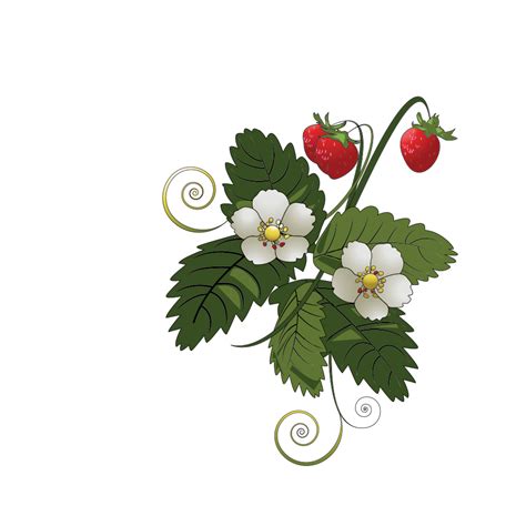 Onlinelabels Clip Art Strawberry Plant