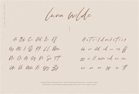 Luna Wilde Hand Lettered Font Lowercaseuppermatchingpersonalized