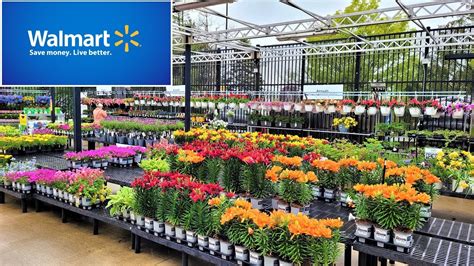 Walmart Garden Center. Spring & Summer Inventory. May 2022. Come Shop