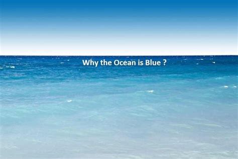 Why The Ocean Looks Blue In Color Reasons And Explanations