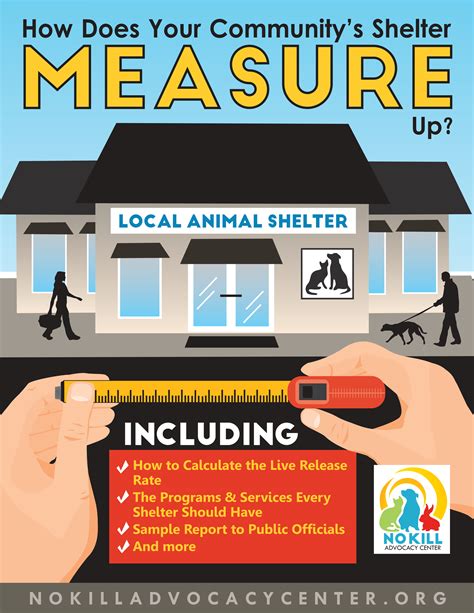 How Does Your Communitys Shelter Measure Up — The No Kill Advocacy Center