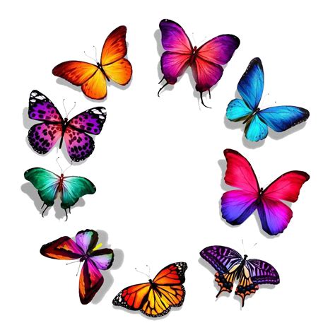 Símbolos y Significados Mariposa su símbolo y significado