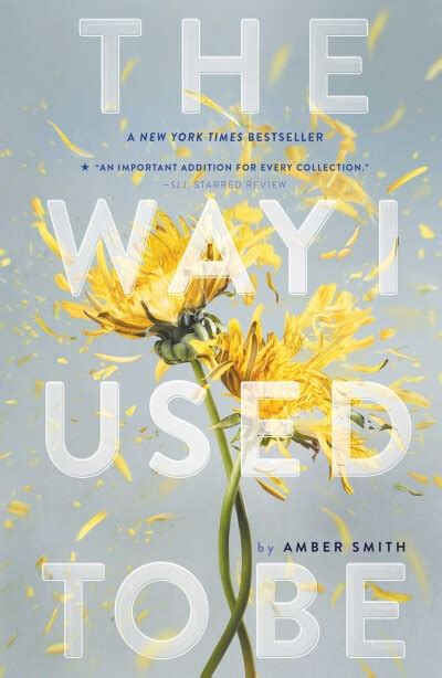 The Way I Used To Be By Amber Smith Book Summary