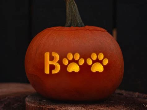 A Carved Pumpkin With Paw Prints On It And The Word Boo Spelled In