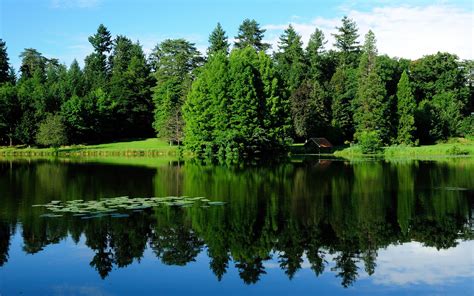 France Nature Landscape Trees Greenery Lake Water Reflection