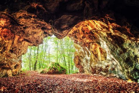 Cave In Spring Forest Stock Photo Image Of Light Exploration 161071418