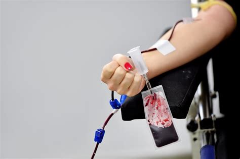 Doação De Sangue Benefícios Procedimentos E Condições