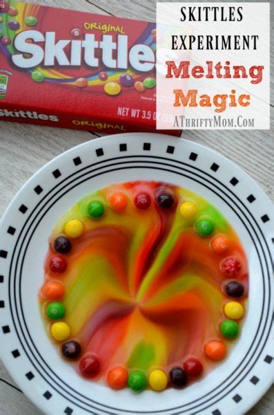 Skittles Experiment Melting Magic Quick And Easy Science Projects For