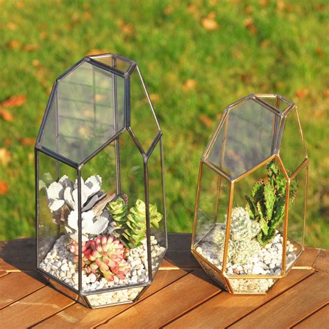Geometric Glass Vase Terrarium By Dingading