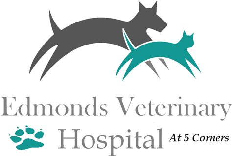 Hospital Tour Edmonds Veterinary Hospital Edmonds Wa