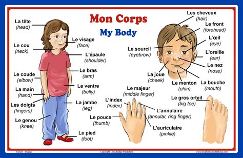 Buy French Language Babe French Words About Parts Of The Body With English Translation