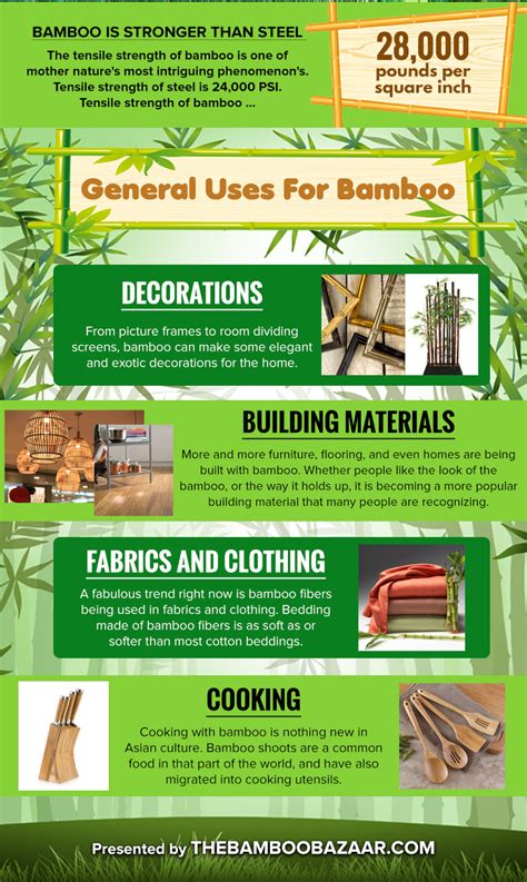 Interesting Bamboo Facts For The Curious Mind Infographic