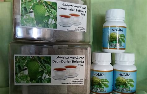 Durian belanda atau soursop, buah dari pohon graviola adalah pembunuh semulajadi sel kanser yang ajaib dengan 10 ribu kali lebih kuat dari pada terapi kemo. Kapsul/ Teh daun durian Belanda | Kedai Herba Online