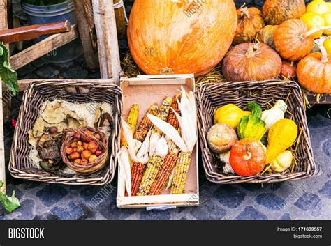 Autumn Harvest Market Image And Photo Free Trial Bigstock