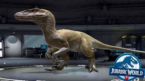 Velociraptor Level 15 Jurassic World Alive Android Gameplay Youtube