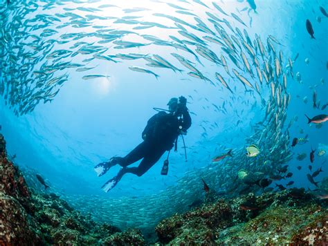 Scuba Diving In South America Discover Your South America Blog